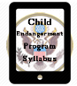 Court Ordered Child Endangerment Program Provider