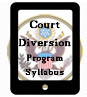 Court Ordered Diversion Program Provider